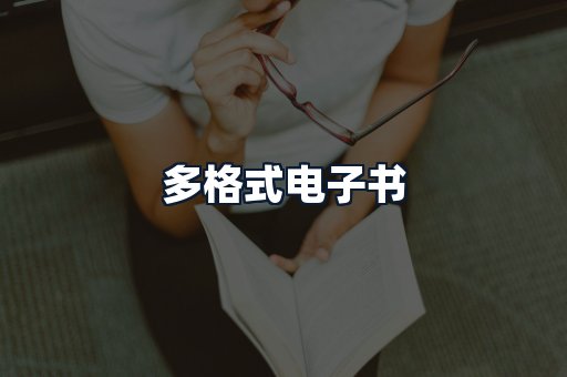 多格式电子书